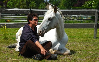 Bureaubladachtergrond van Windows Fotogalerie 2