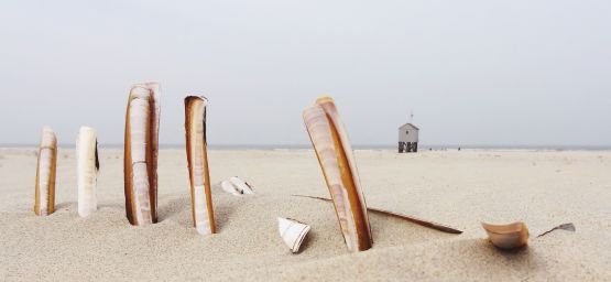 Drenkelingenhuisje Terschelling