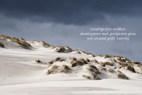 Terschelling mrt 2015-01754-2