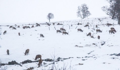 Schotland 2015 Edinburgh verkleind LR-00683